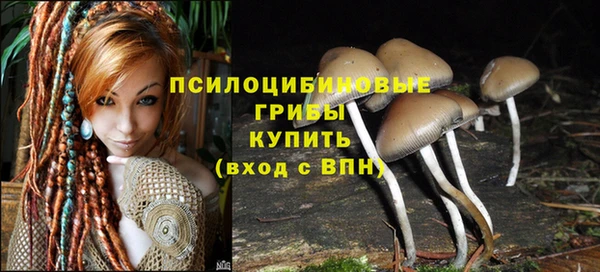 мескалин Алексеевка