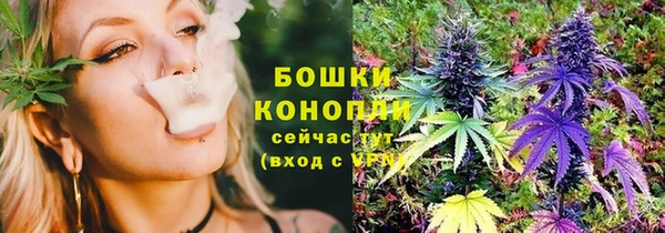гидра Арсеньев